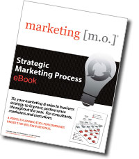 strategicmarketingprocessebook